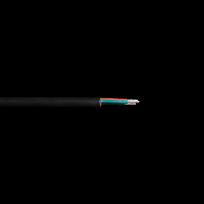 AS-WS-0031