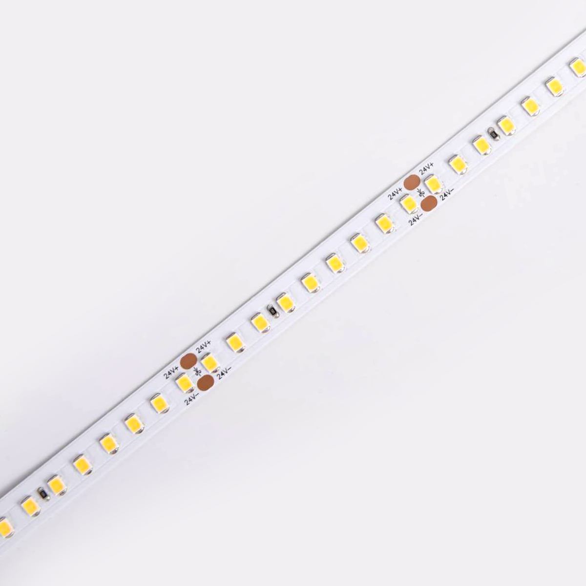 D8144-24V-10mm