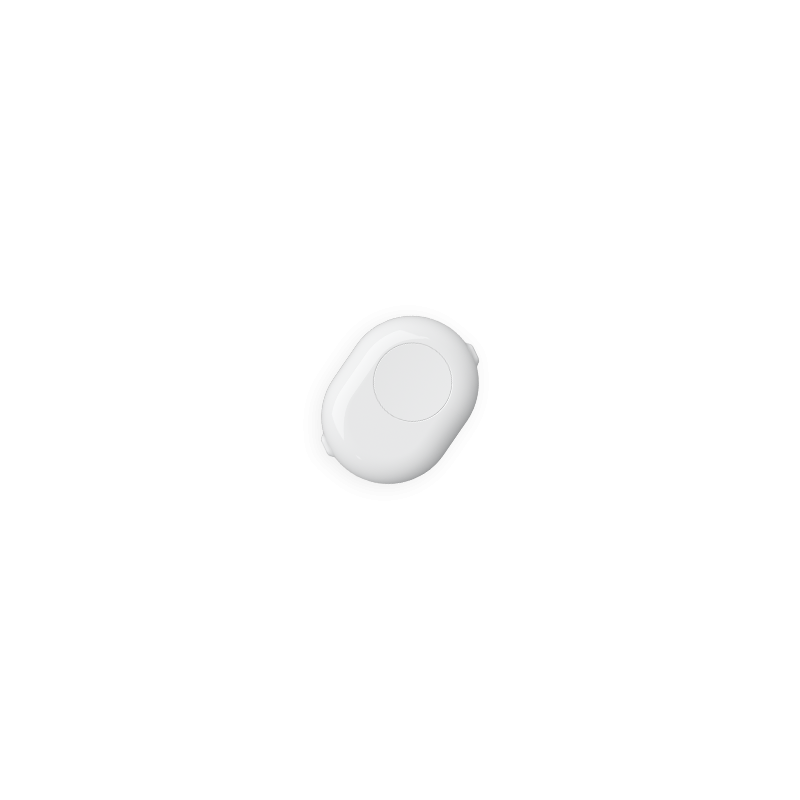 Shelly Button Adapter