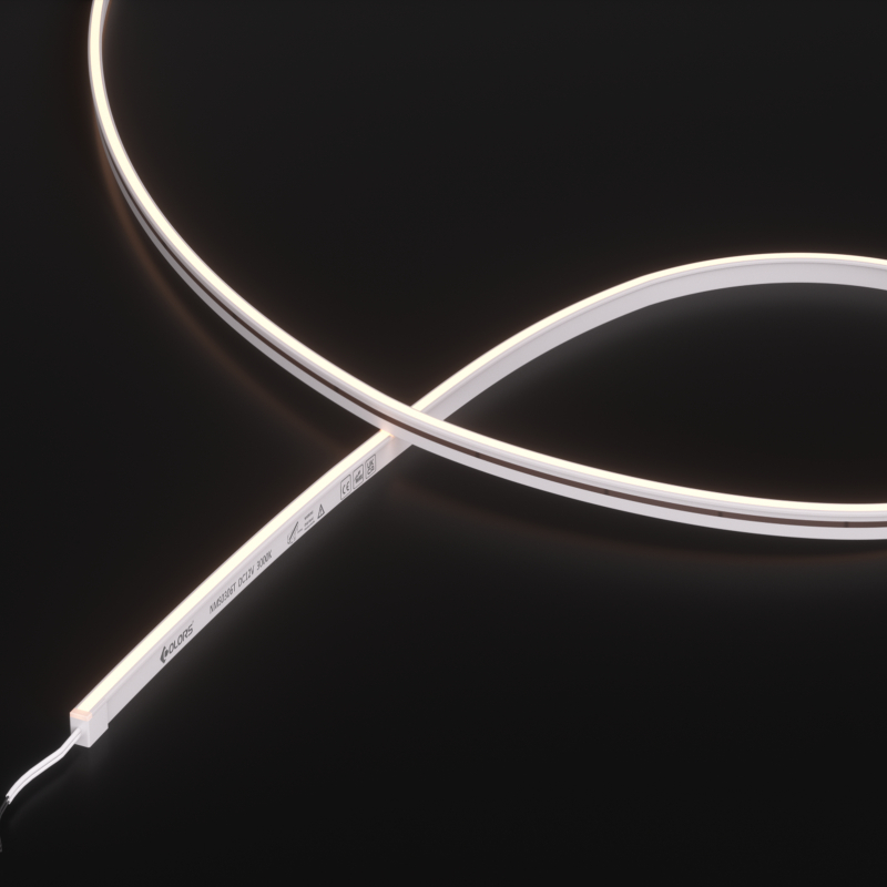 NMS0306T-White light-12V