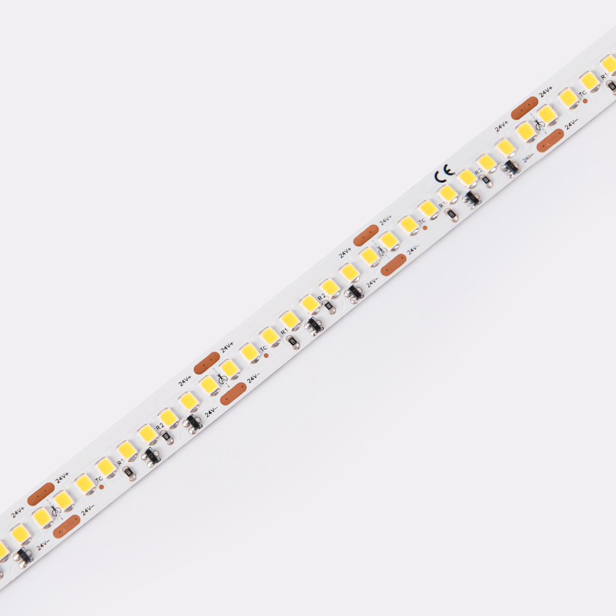 DS8192-24V-12mm