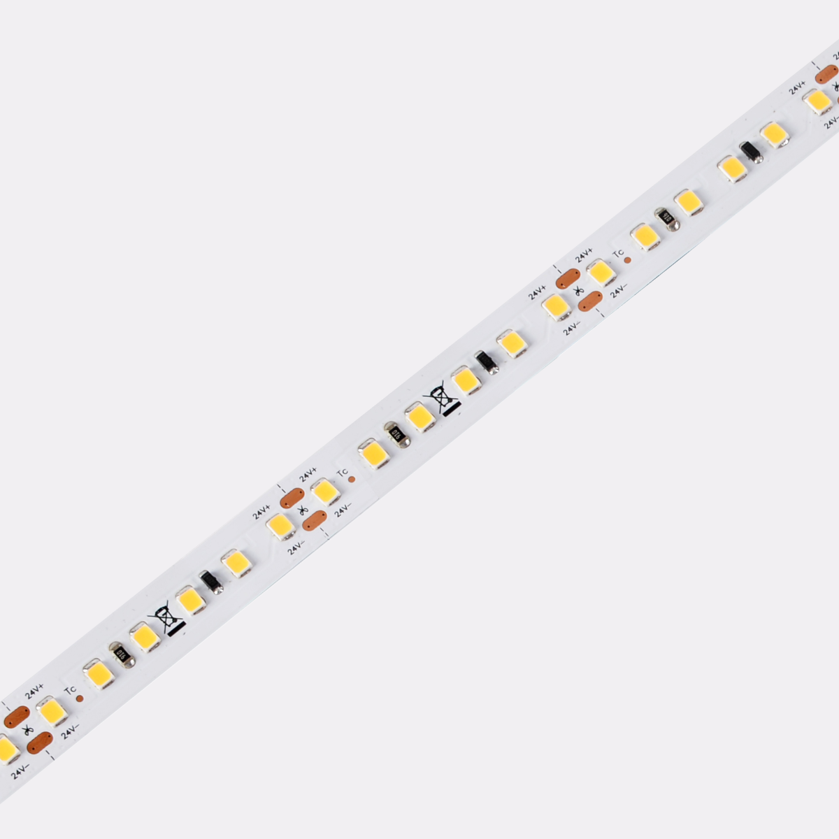 DS8120-24V-12mm