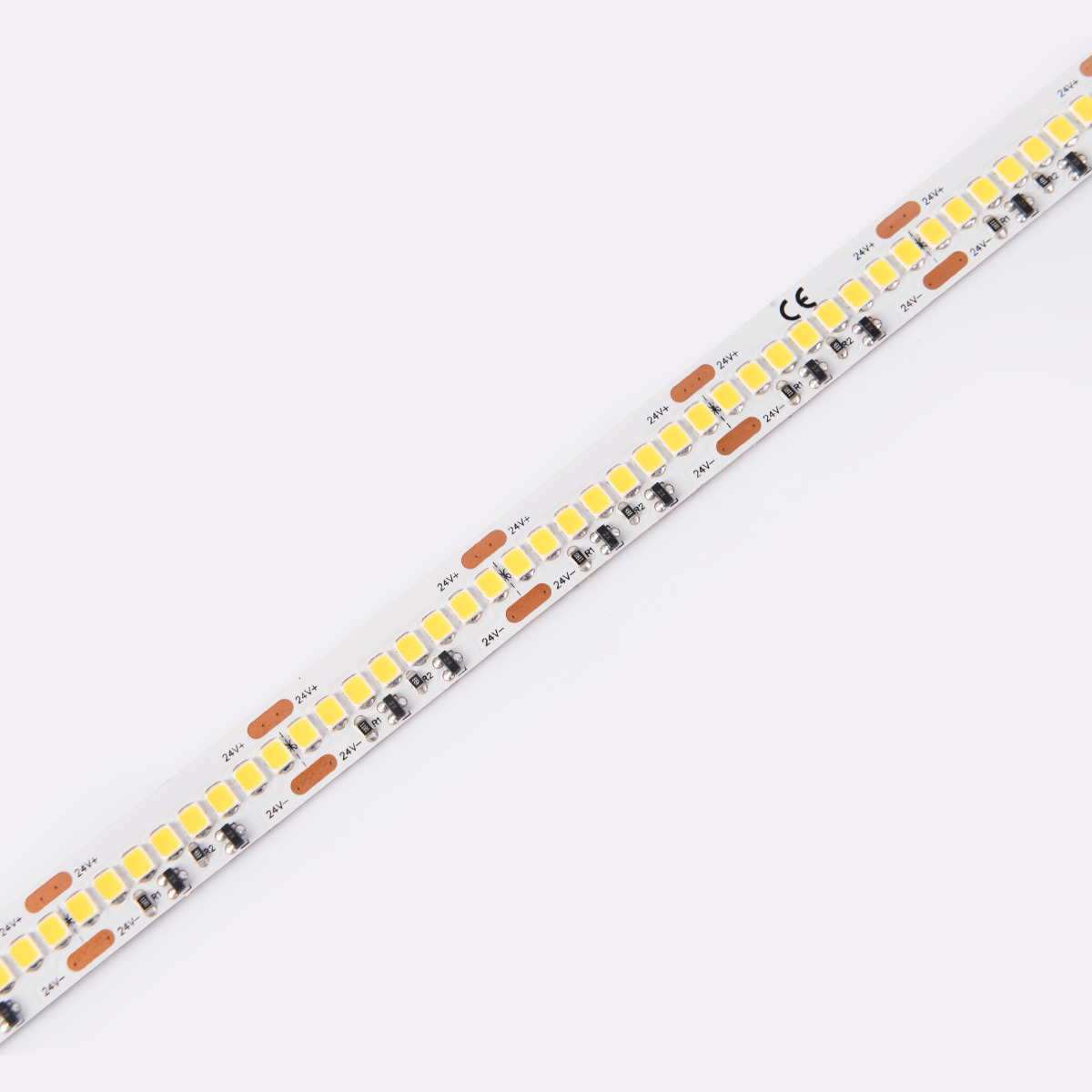 DS8256-24V-12mm
