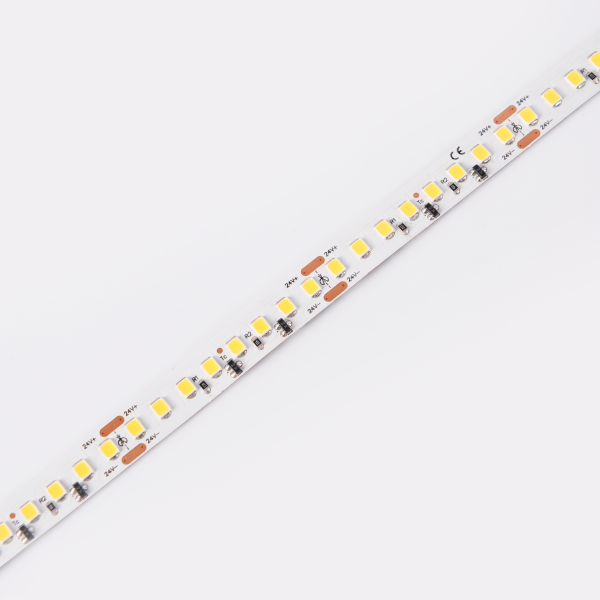 DS8160-24V-10mm