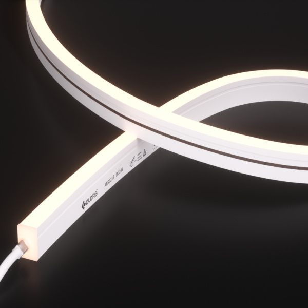 ANS1217-White light-24V