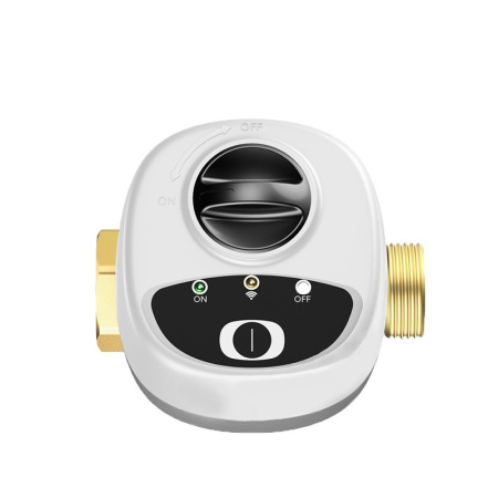 SmartWise WiFi motorizēts vārsts ūdensvadam, 1" collu (DN25), PN16