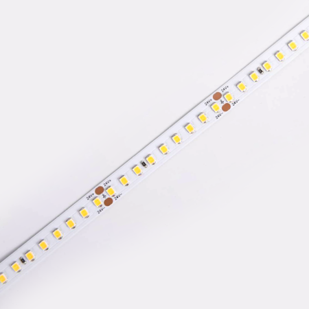 D8144-24V-10mm