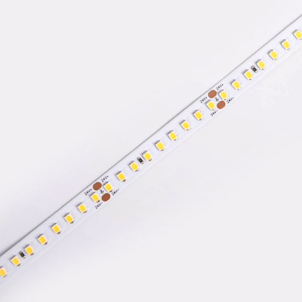 D8144-24V-10mm