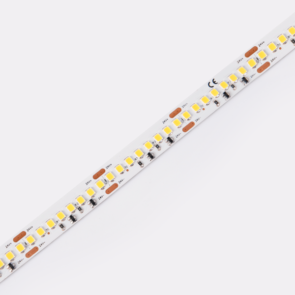 DS8192-24V-12mm