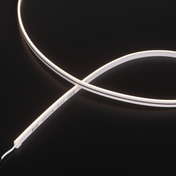 NMS0306T-White light-24V