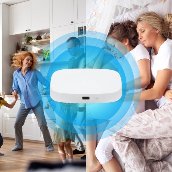 Smart home Zigbee hub Type C