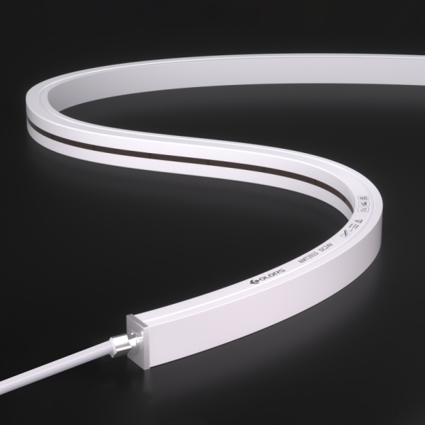 NMT2015-White light(5M)-24V