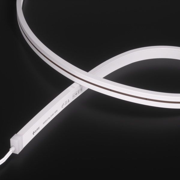 NMS0612-White light-48V