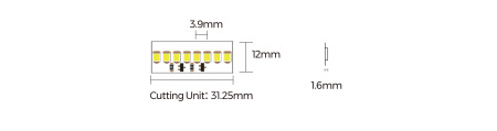 DS8256-24V-12mm