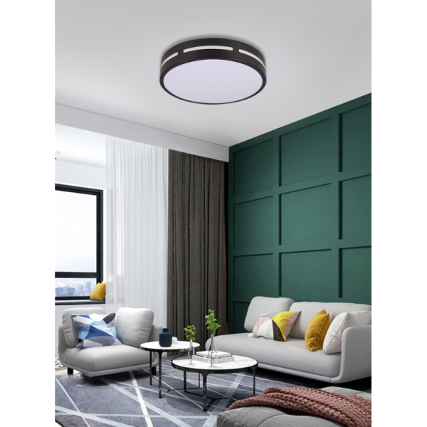 LED RGB griestu lampa apaļa 40cm 24W Wi-Fi
