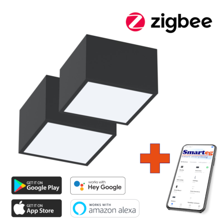 2x Smart šūnu lampa 15x15cm 12W melna Zigbee