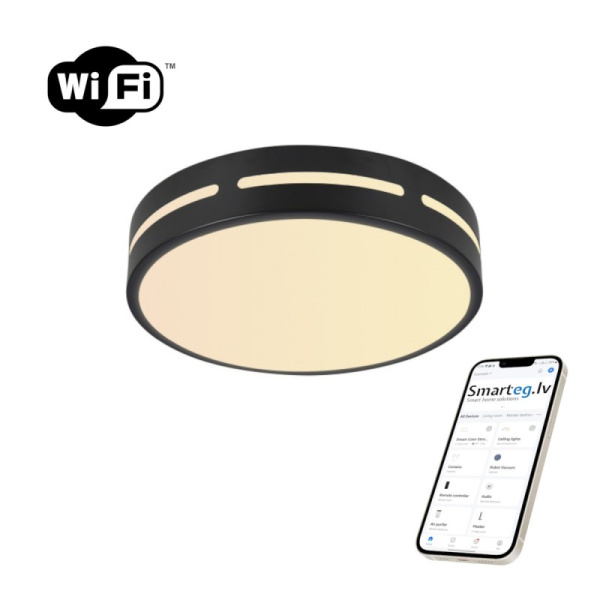 LED RGB griestu lampa apaļa 50cm 48W Wi-Fi