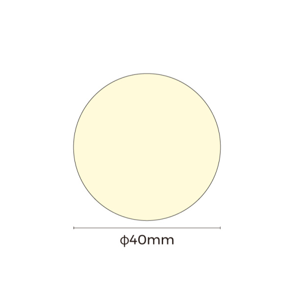 NNR40-White light-24V(LP)